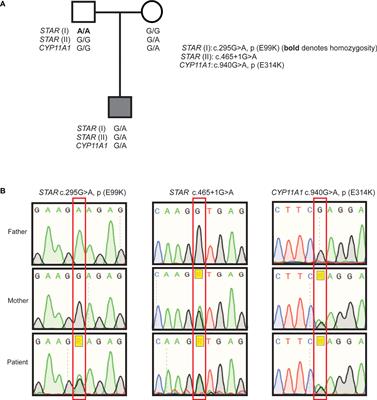 Can Digenic, Tri-Allelic Inheritance of Variants in STAR and CYP11A1 Give Rise to Primary Adrenal Insufficiency? A Case Report